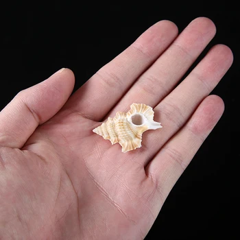 1 BUC Scoică Naturală Conch Shell Rezervor de Pește de Decorare Fotografie elemente de Recuzită, Mobilier Acasă Ornament DIY Meșteșug Accesorii 50-60mm