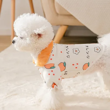 Noi Toamna și Iarna Haine Fructe Rever Pulover Câine Pisică Haine Subțiri Îmbrăcăminte de Iarnă Câine de Designer Haine de Lux